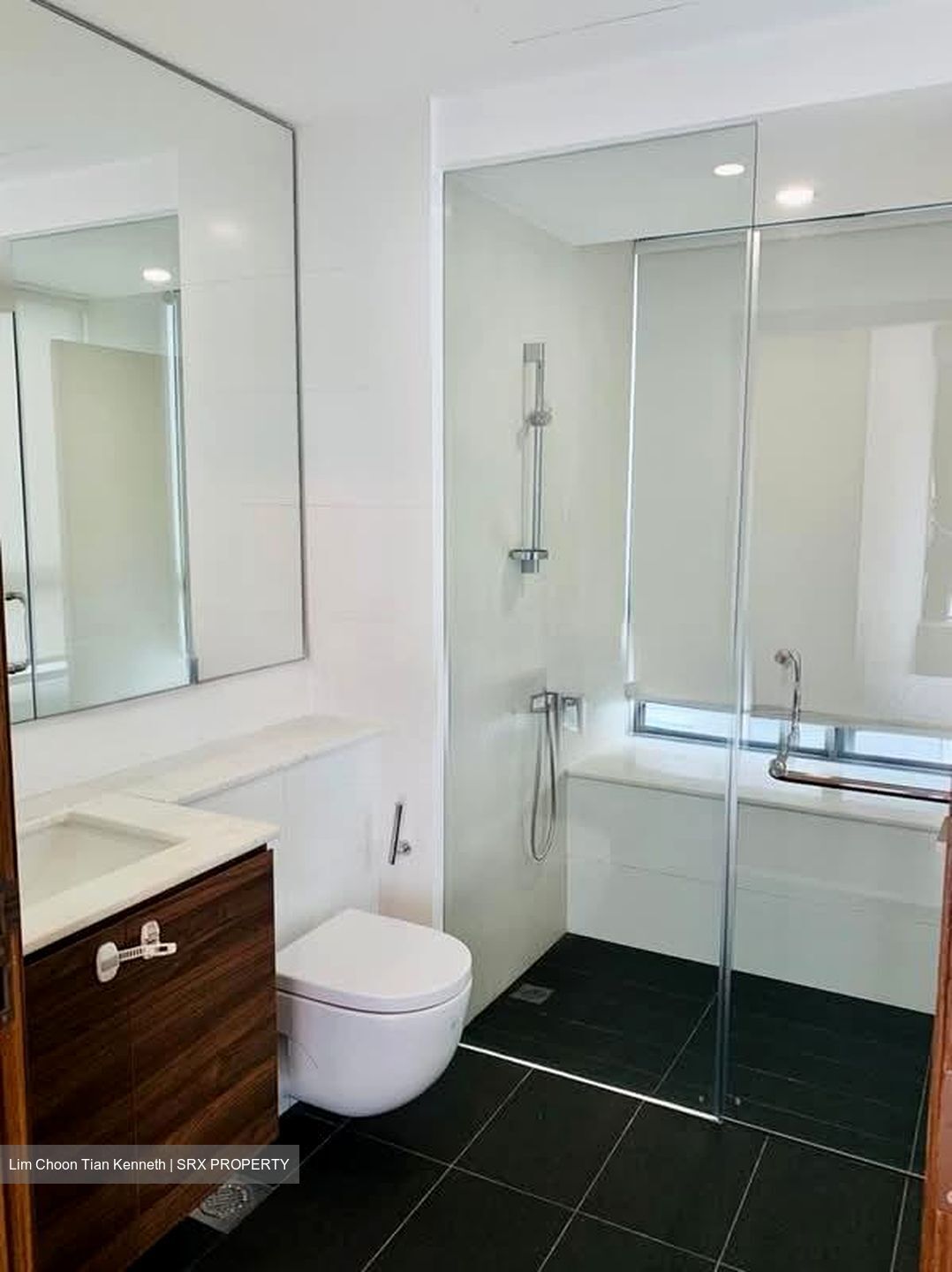 Double Bay Residences (D18), Condominium #577794931